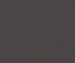RW034 80x80x11 Непол.Рект. (Керамический гранит) Anthracite