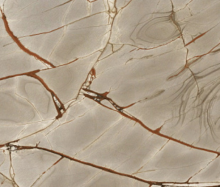 Nature Mood Rainforest Glossy 6mm 120x280