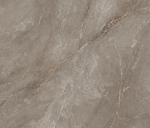 Orobico Brown Polished 80x160
