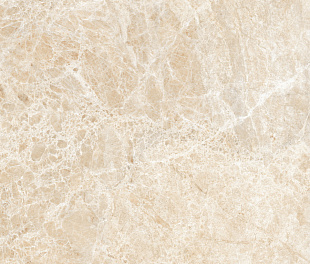 Emperador Beige Polished 60x60