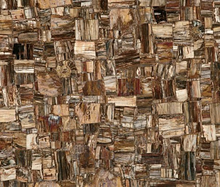 Petrified Wood (Party) (Compound With Granit)