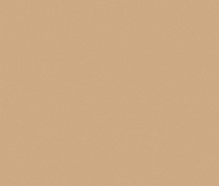 RW15 60x60 Непол.Рект. (Керамический гранит) Beige