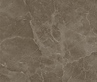 Supernova Stone Grey Lastra 60x60
