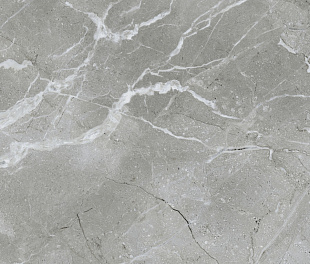 Silkmarble Бреча Серый Матовый R9 60x60