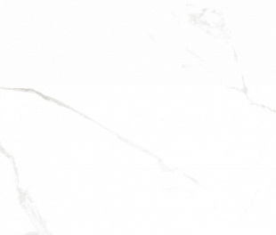 Statuario Bianco Matt 60x120