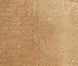 Ravena Ocre 10x20