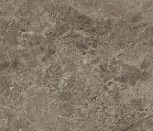 Victory Taupe 80x160