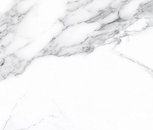 Calacatta Classico Polished 60x120