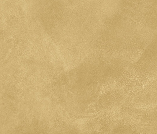 Terraviva Senape Opaco 40x80
