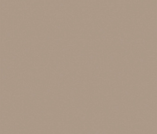RW041 60x60 Непол.Рект. (Керамический гранит) Light Brown