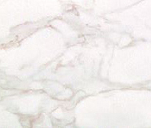 Roma Calacatta Matt 25x75