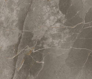 Allure Grey Beauty 80x80