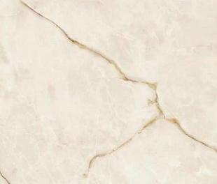 Symphonyx Gold 120x278 Lapp
