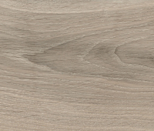 Originwood Light Greige Matt 20x80