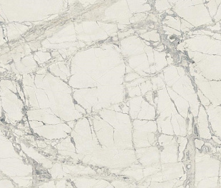 Prexious Rex Mountain Treasure Glo 80x80