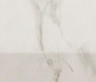 Roma Calacatta Alzata 17.5x25